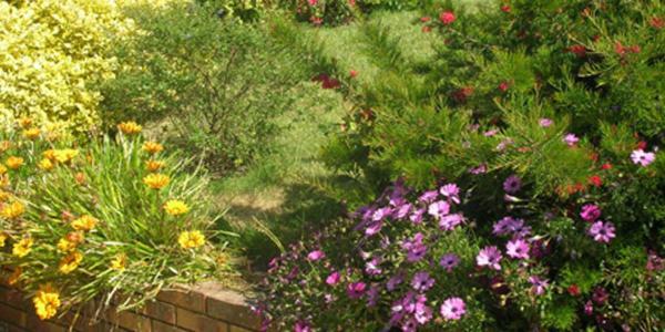 Bed and Breakfast Au Jardin De Creachavel Cléder Exterior foto